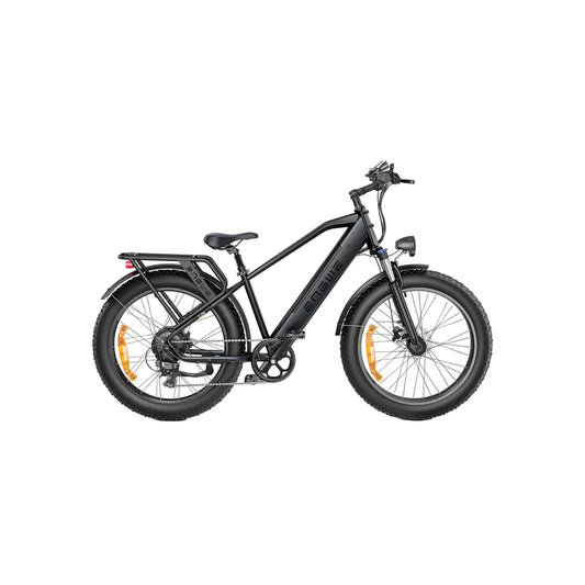 ENGWE E26 Mountain Bike