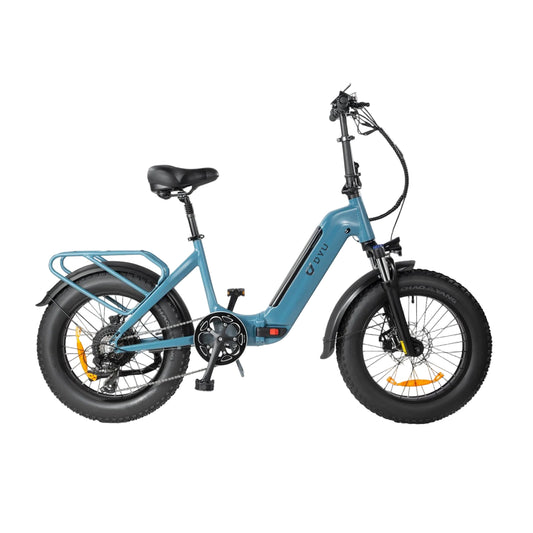 DYU FF500 20 Inch Fat Tire Electric Bike